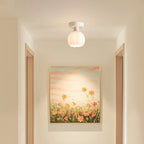 5 to 9 Inch Modern Semi-Flush Ceiling Light for Living Room