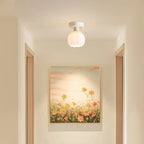 5 to 9 Inch Modern Semi-Flush Ceiling Light for Living Room