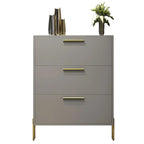 3-Tier Narrow Dark Gray Drop-Front Wood Shoe Cabinet