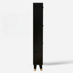 Black Drop Front Shoe Cabinet with Sliding Doors