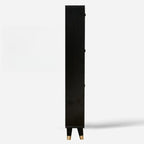 Black Drop Front Shoe Cabinet with Sliding Doors