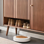 Modern Wood Shoe Cabinet with Doors for Entryway