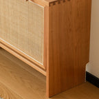 Boho Solid Wood Tipping Shoe Cabinet in Brown