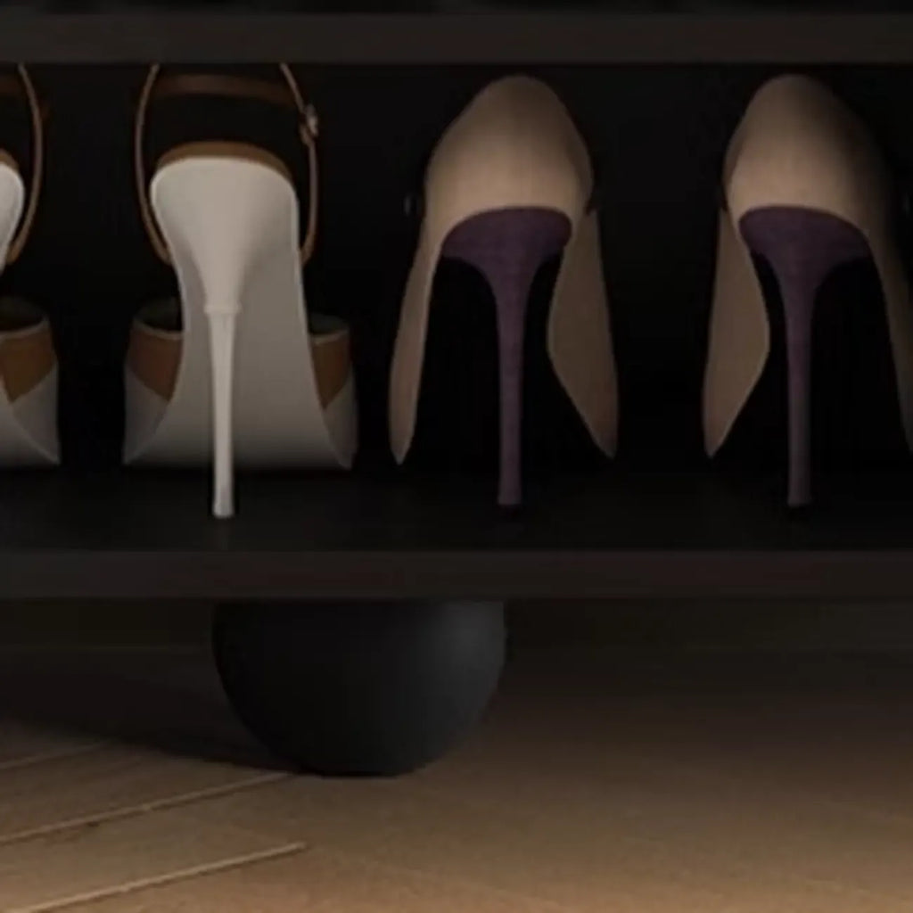 Black Metal Shoe Cabinet with Adjustable Shelves