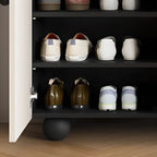 Chic Adjustable Shelves Wood Shoe Cabinet in White/Black