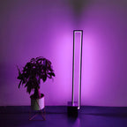 Rectangle LED Floor Lamp with RGB Dimming for Living Room