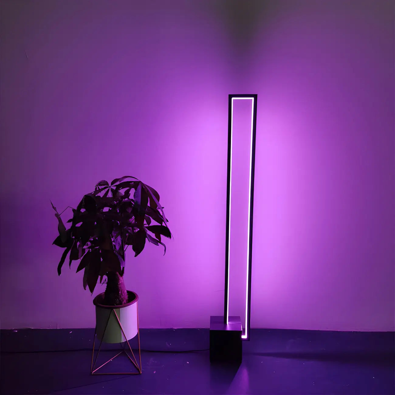 Rectangle LED Floor Lamp with RGB Dimming for Living Room