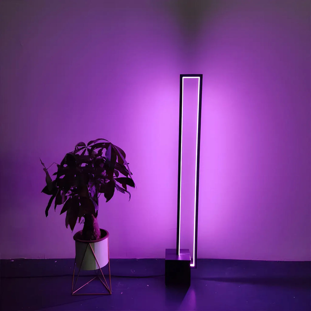 Rectangle LED Floor Lamp with RGB Dimming for Living Room
