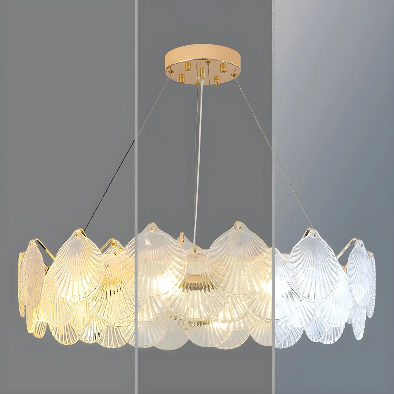 Modern Gold Shell Chandelier for Living Room