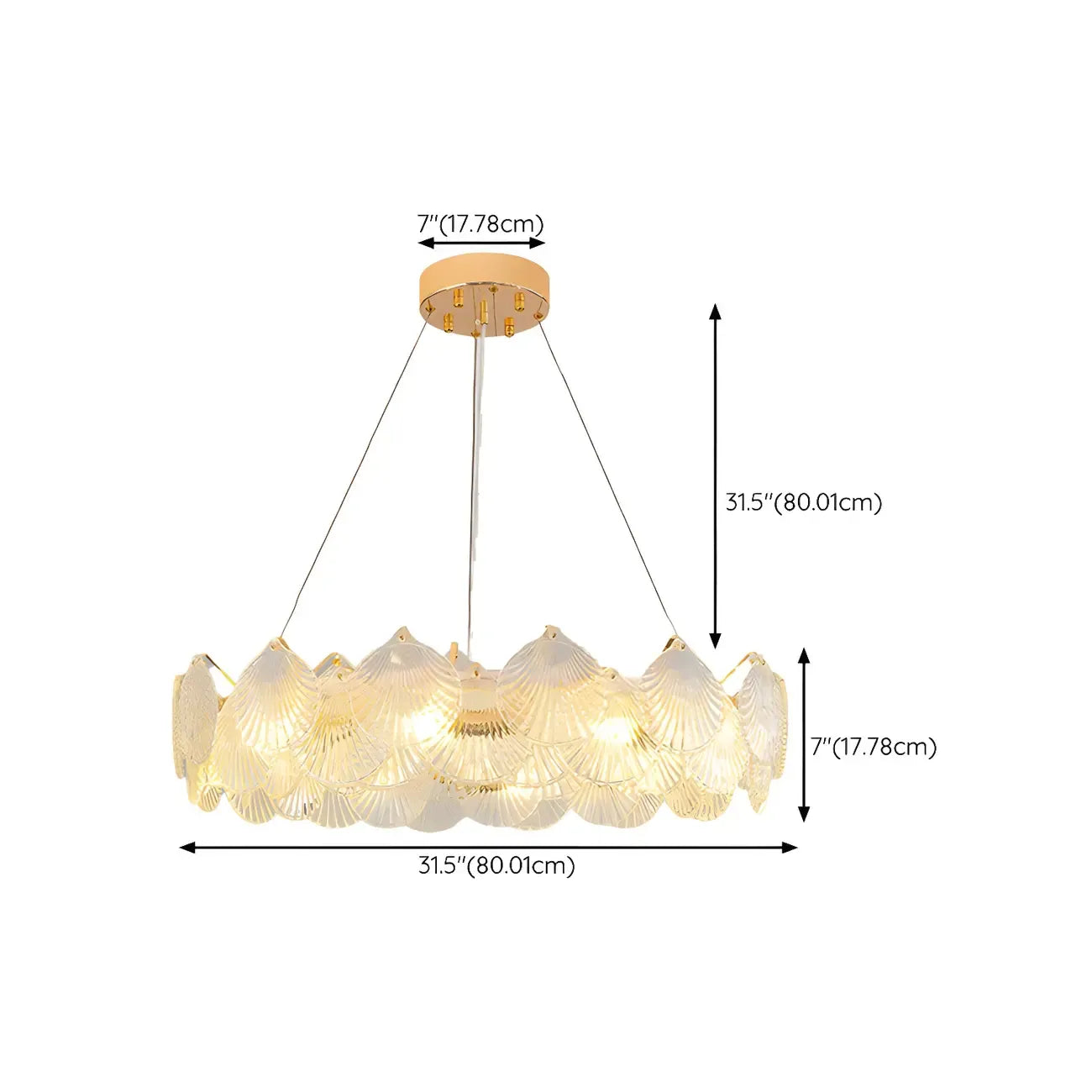 Modern Gold Shell Chandelier for Living Room